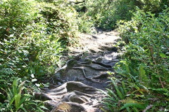 Keeha Bay Trail