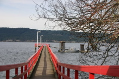 Walter Hook Wharf