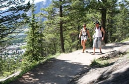 Popular Hiking Trails