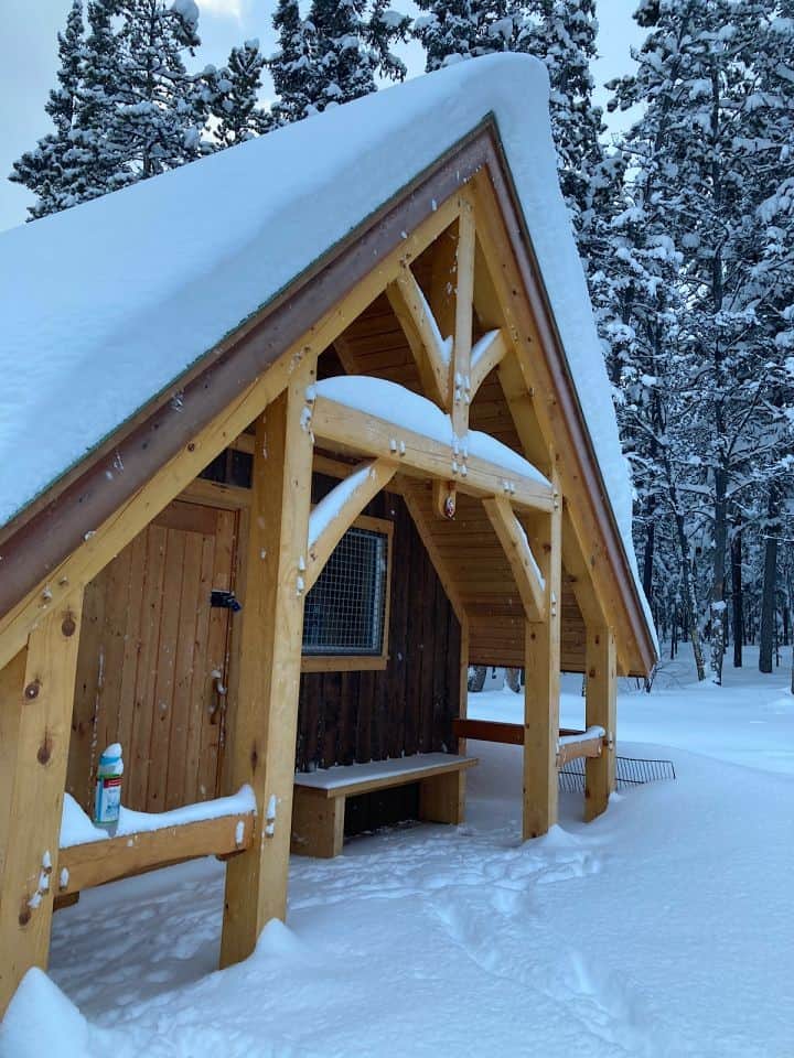 Wooden hut in snowy forest.