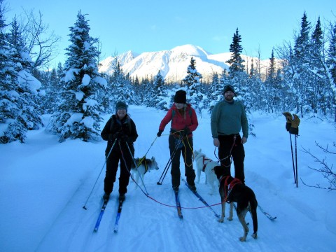Skijoring in the Yukon Canada