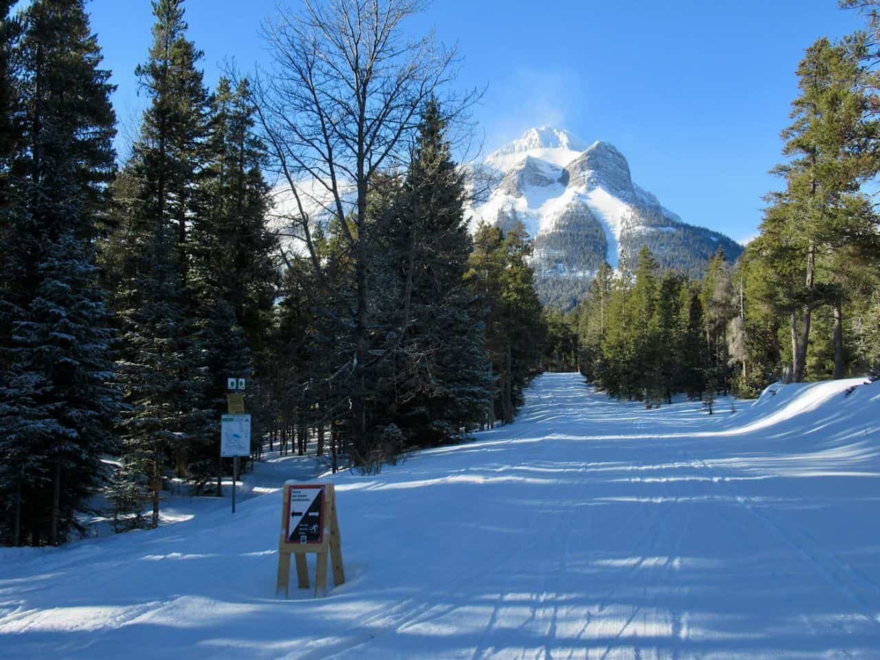 Mountain views while cross country skiing in the Crowsnest Pass with Megan Kopp