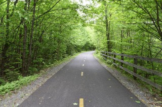 A smooth paved section of the Trans Canada Trail through forest, showing how some parts of the route offer ideal cycling conditions with continuity, shade, and reliable surfaces for long-distance travel.