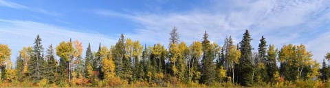 Epic Manitoba Wilderness
