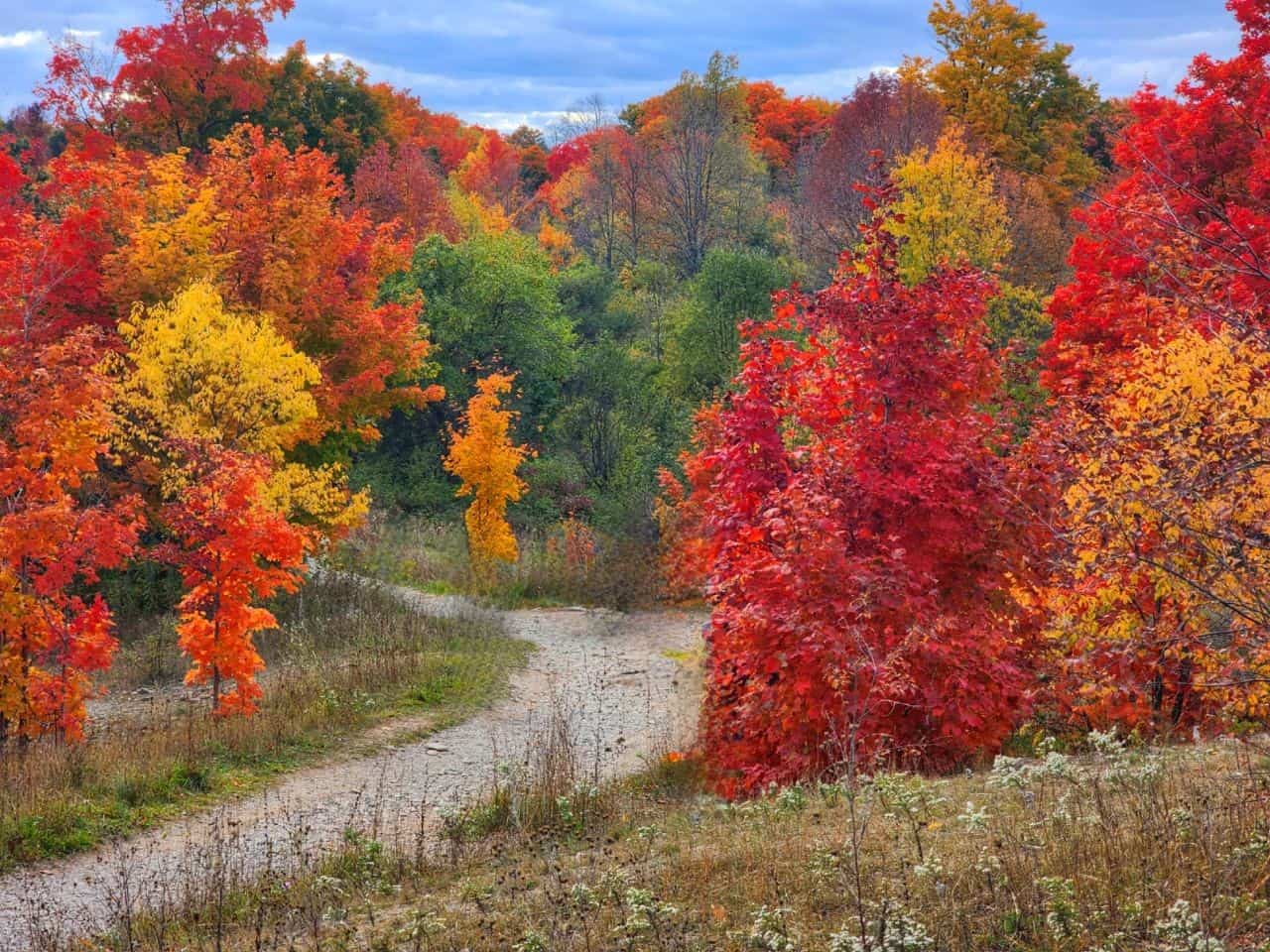Autumn colors of October in Ontario Canada.