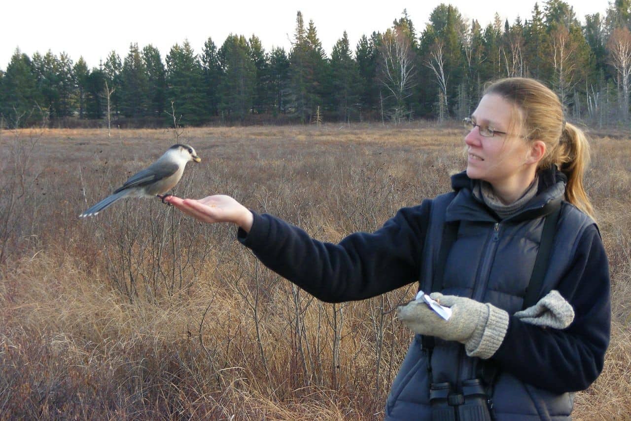 Dr. Sonya Richmond and a Jay during the winter months in Canada.