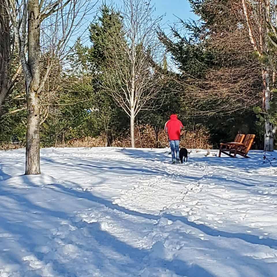 Dog walker at Derek Doubleday Arboretum in Langley near Vancouver BC Canada
