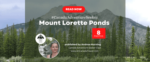mount-lorette-blog