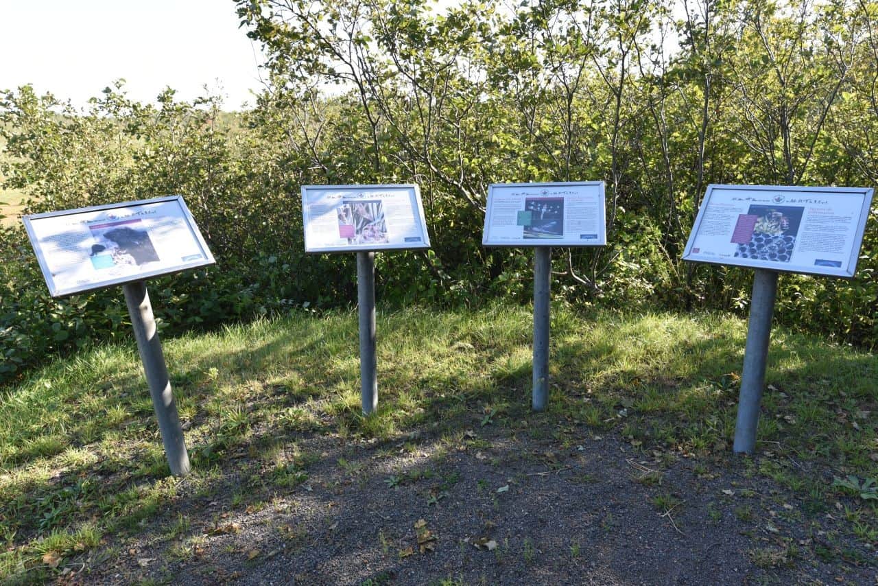 Interpretive signs featuring information on the flora, fauna, and history of Prince Edward Island can be found along the length of the Confederation Trail.