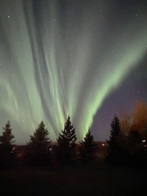 Aurora Borealis and trees always makes for a good bucket list adventure in Northern Canada.