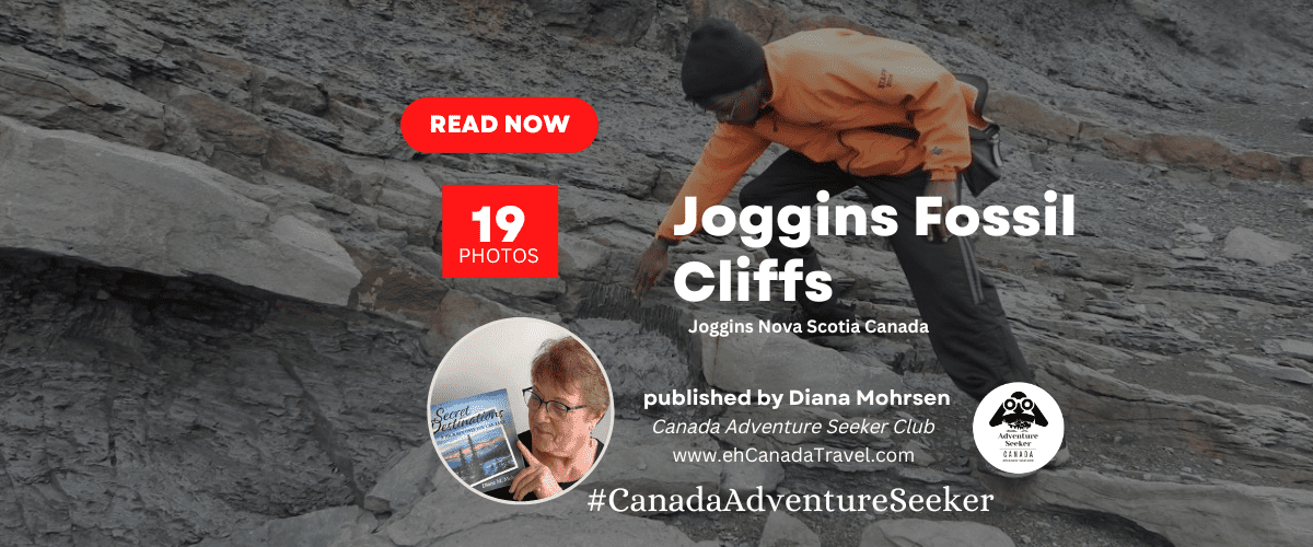 Joggins Fossil Cliffs in Nova Scotia Canada