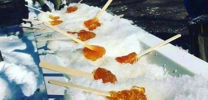 Maple Taffy Recipe in Canada is made from Maple Trees which house Maple Syrup - a Canadian sweet treat for all.