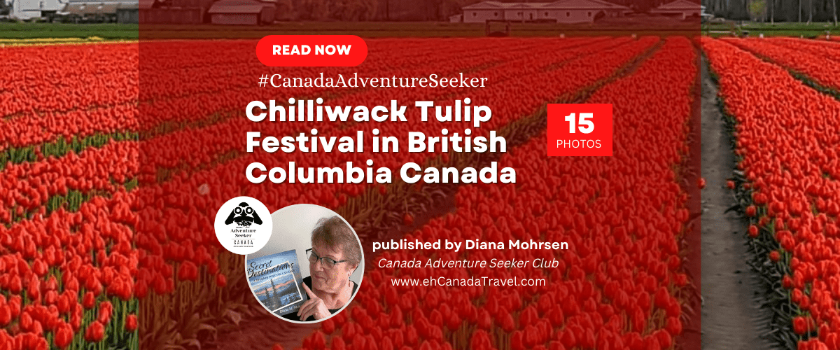 Chilliwack Tulip Festival in British Columbia Canada