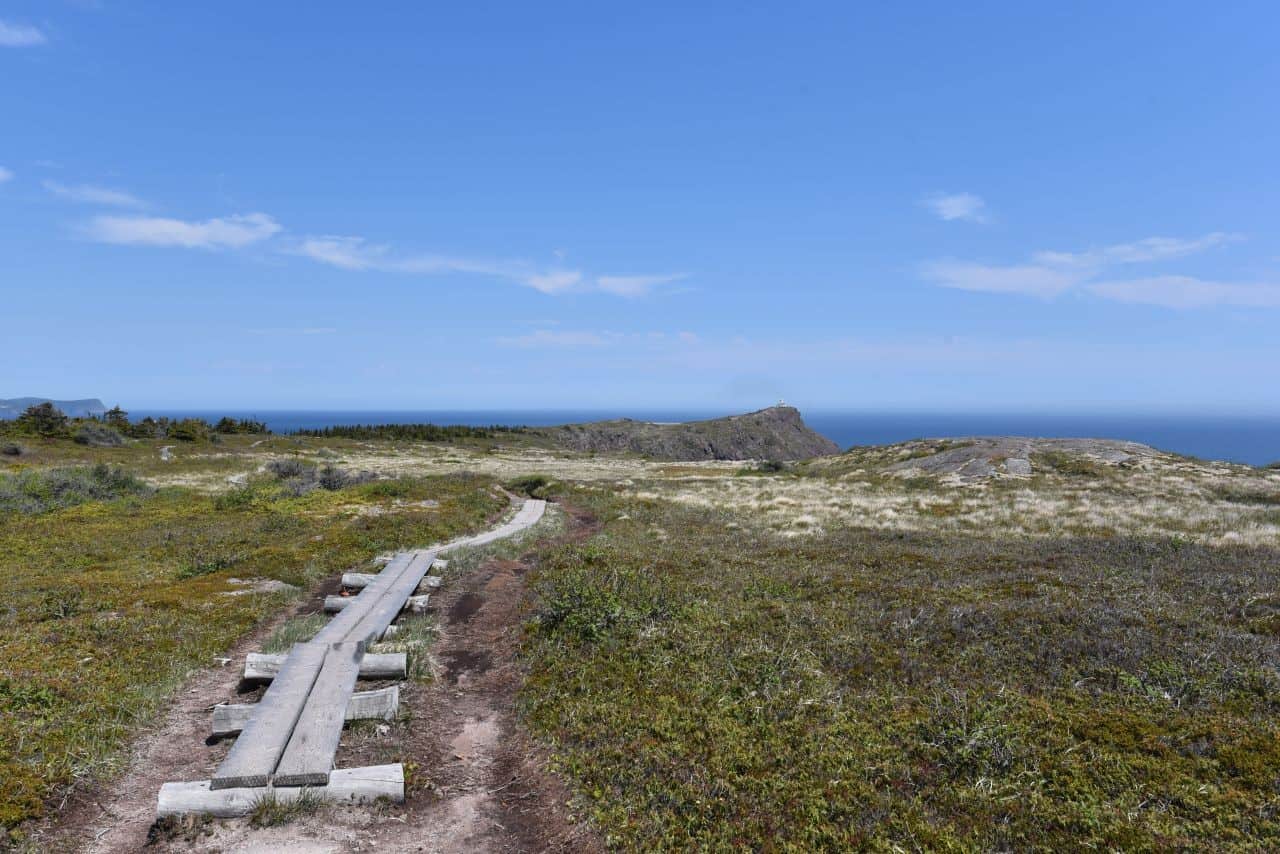 Winding boardwalks help hikers keep their boots dry on the East Coast Trail, Newfoundland