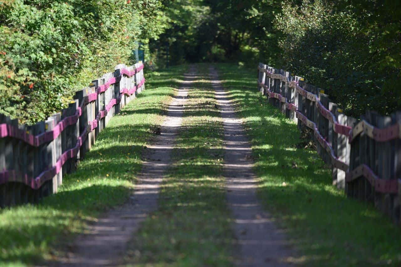 The Confederation Trail, PE allows hikers, cyclists, and snowmobilers to explore Prince Edward Island