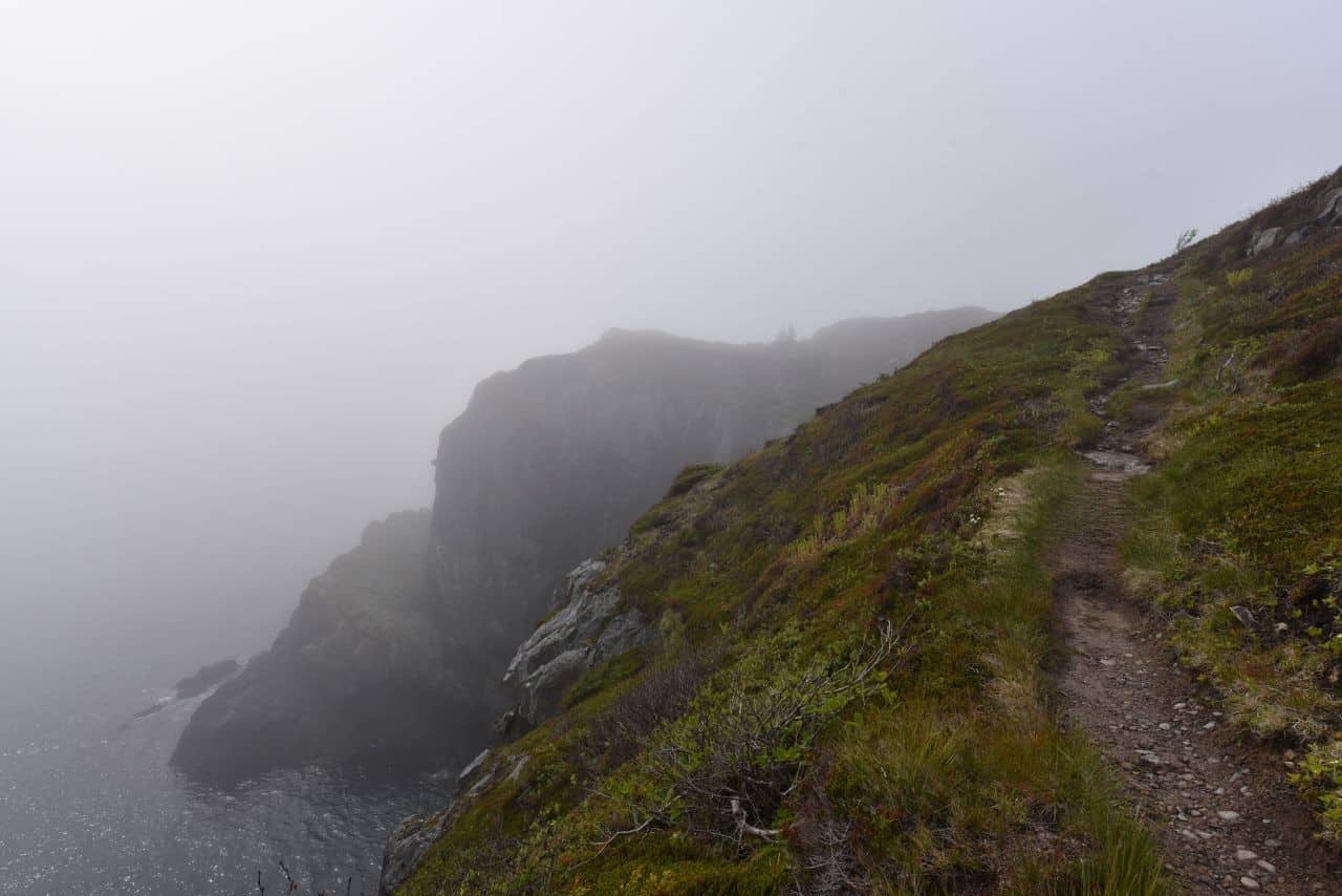 Mist and fog frequently create magical landscapes along the East Coast Trail, NL