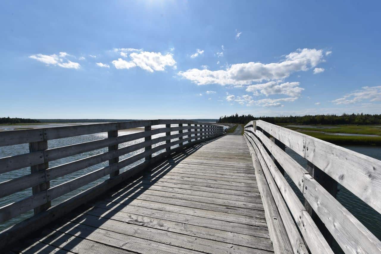 Hikers and cyclists enjoy stunning ocean views from the boardwalks of the Salt Marsh Trail, NS