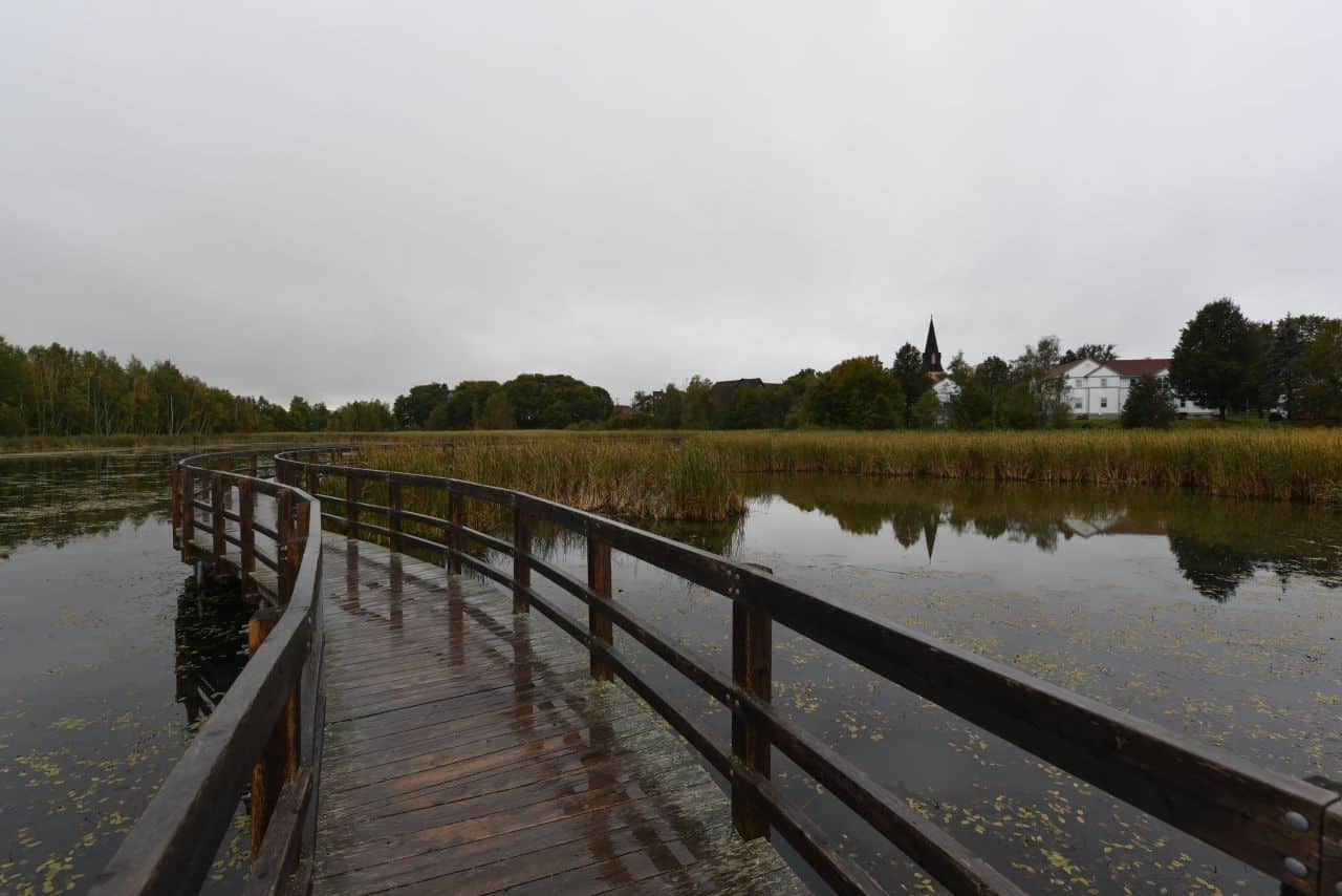 Boardwalks through the Sackville Waterfowl Park on The Marshes Trail offer great bird watching opportunities