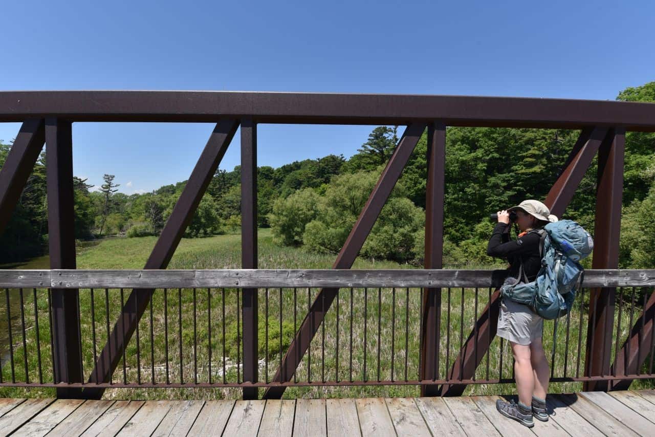 Wildlife and bird watching opportunities in urban greenspaces make the Great Lakes Waterfront Trail one of the best trails in Ontario Canada