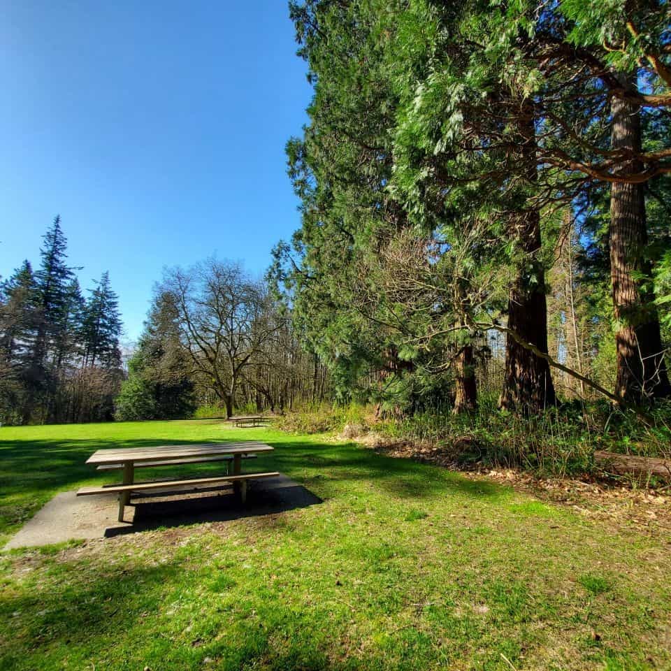 Individual picnic tables can be found as well as the large covered picnic areas. Also people can put a blanket on the ground and picnic where they choose. There is a water fountain in the park as well as washrooms.