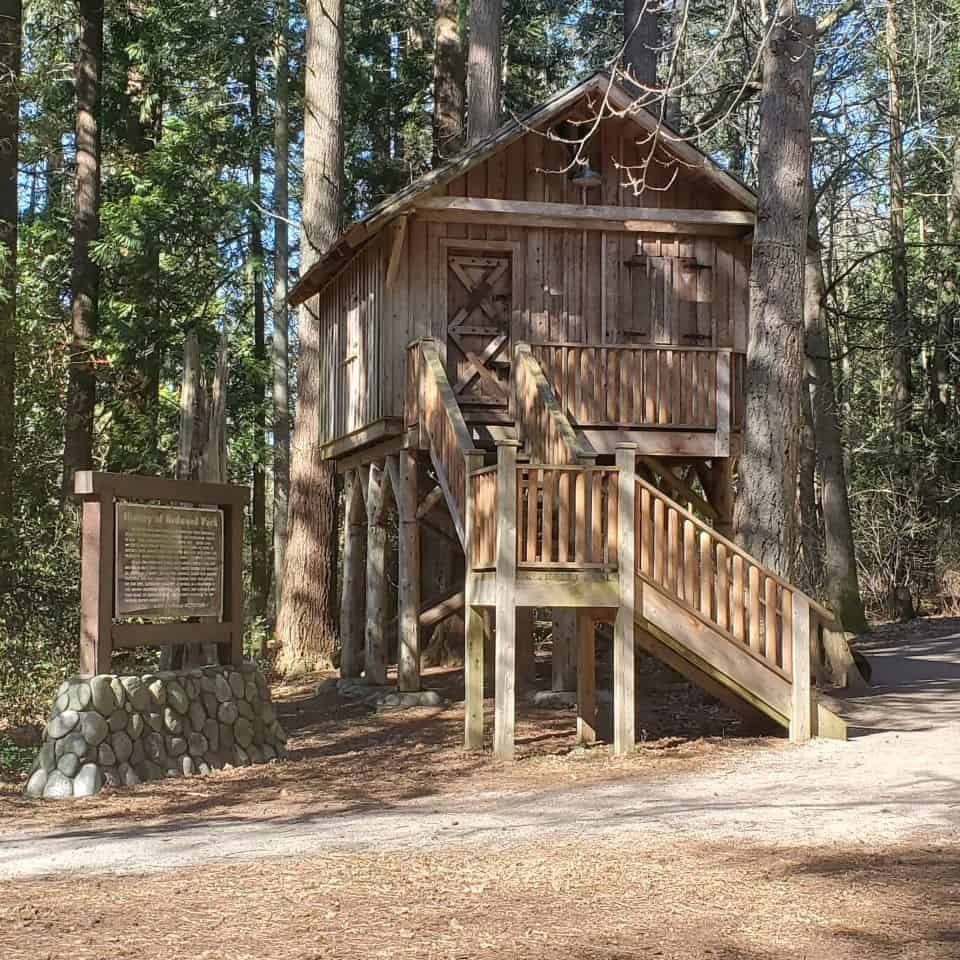 A treehouse to remind us of the home the Brown brothers built in the area now known as Redwood Park. The brothers planted a grove of Sierra Redwoods and many other species.