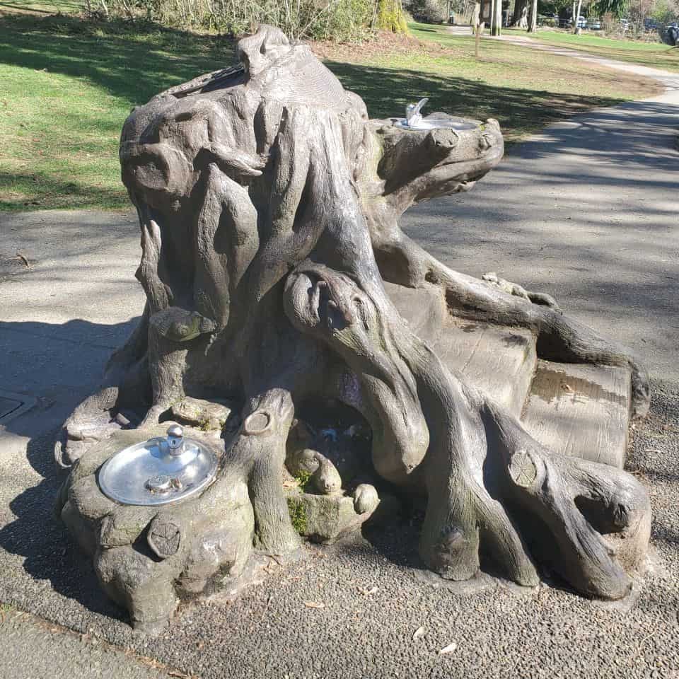 Derek Rowe designed the drinking fountain called Redwood Forest Mysteries. It includes steps so younger children can reach the fountain. A lower fountain allows pets to drink.
