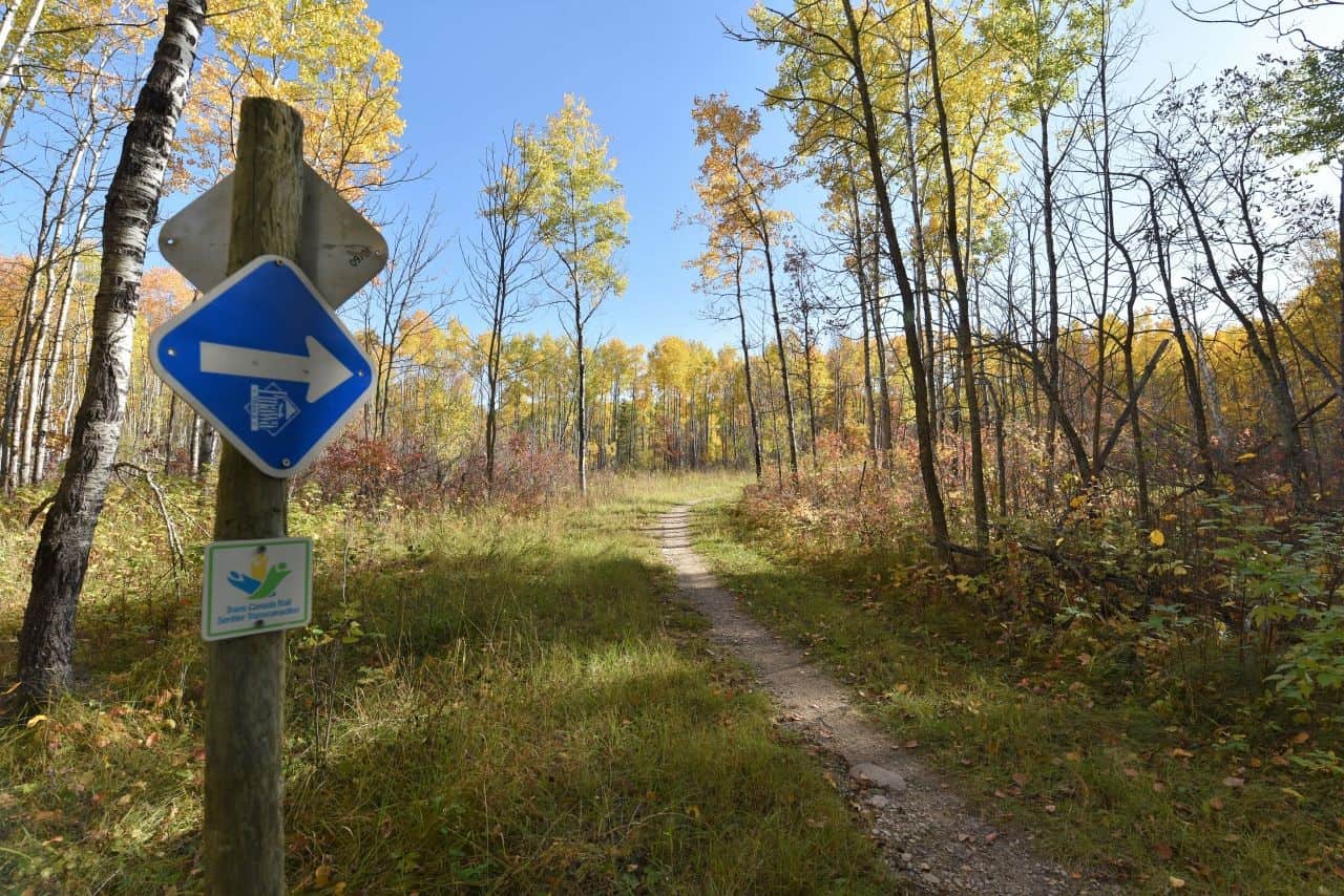 The Pinawa Trail section of the Trans Canada Trail in Manitoba is well marked and easy to navigate, making it easy to bike or hike for people of all fitness levels.