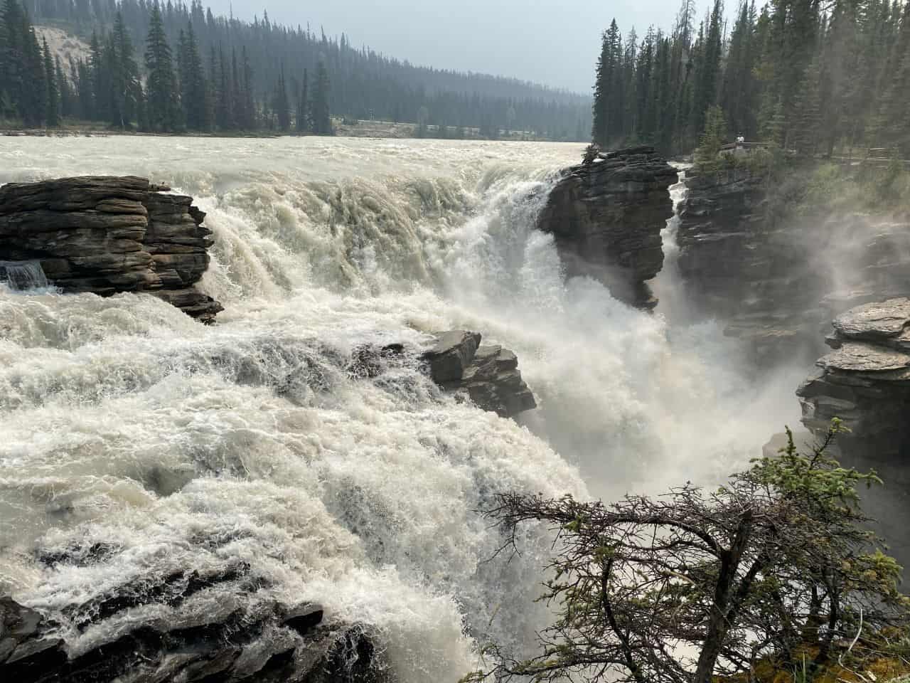 The waters are roaring over Athabasca Falls in Jasper National Park. These falls are about 30km south from the Town of Jasper in the Canadian Rockies.