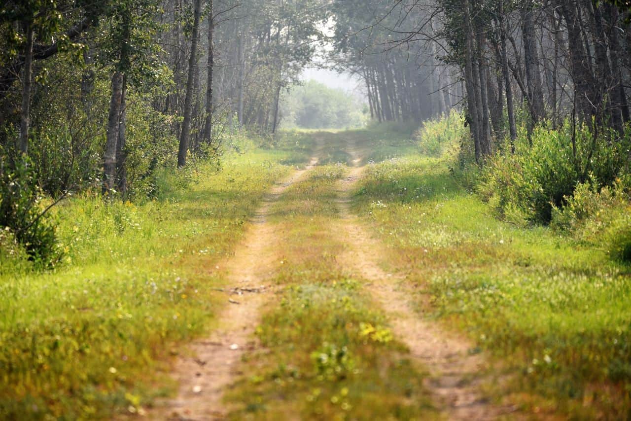 The Trans Canada Trail in Good Spirit Lake Provincial Park is a well-signed grassy track that features, benches, picnic tables, and stunning scenery.