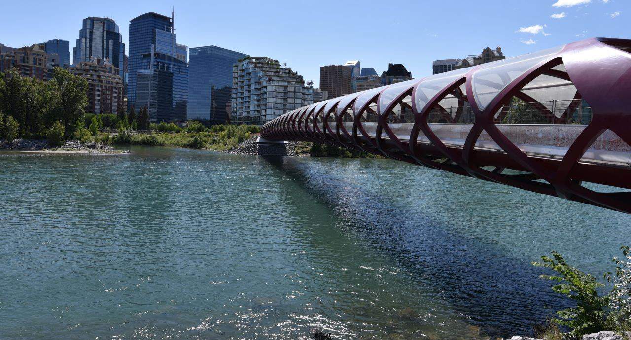 The City of Calgary Trails create a network of urban pathways along the Bow River which include the iconic Peace Bridge landmark.