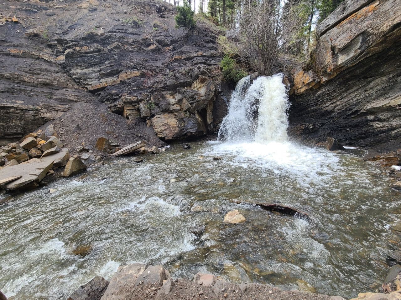 Rainbow Falls spring flow up the Miners Path in Coleman Alberta Canada.