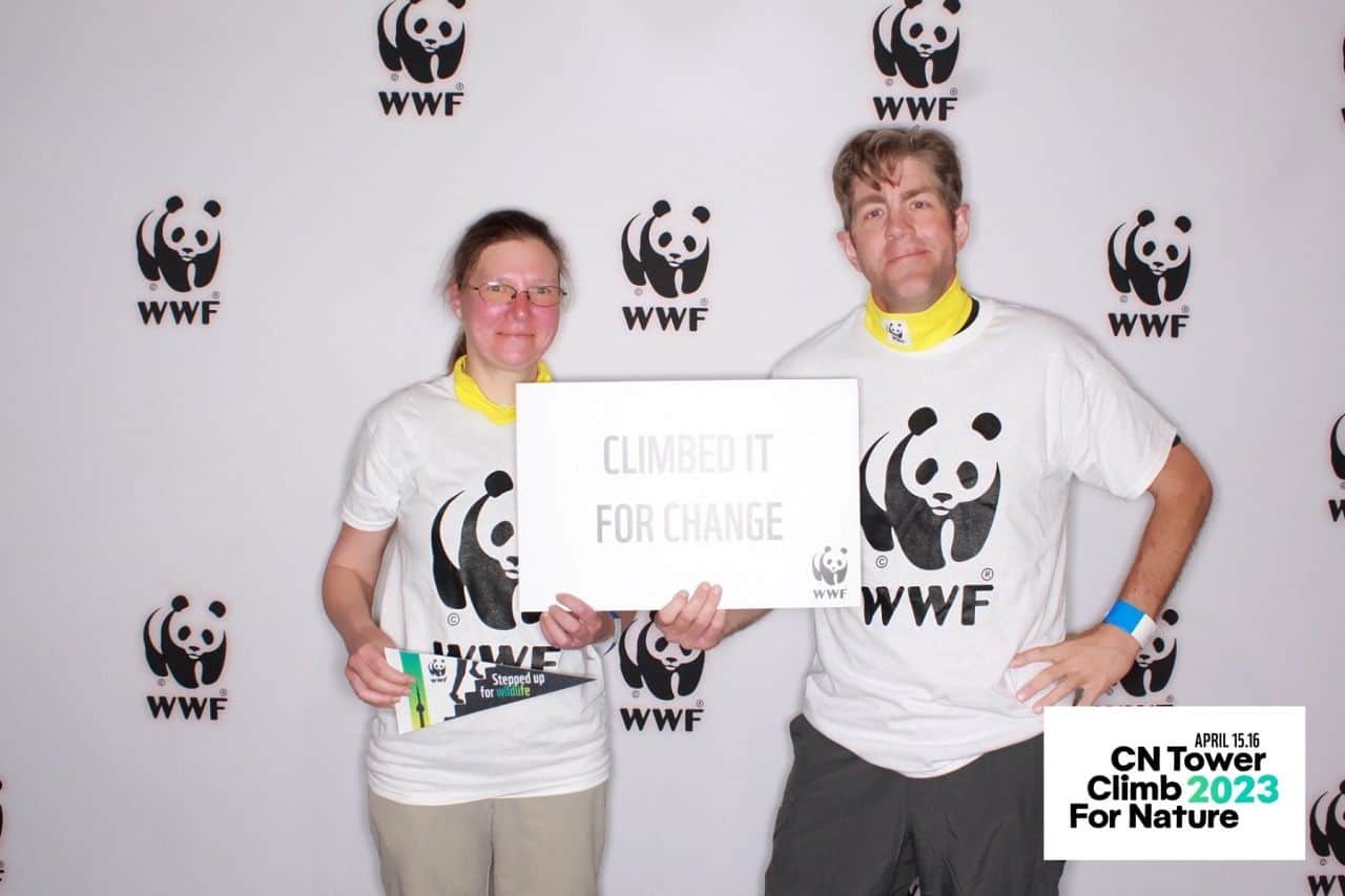 During the annual WWF CN Tower Climb for Nature fundraising event there are lots of opportunities to capture your experience on camera and share it with friends, family, and climb sponsors.