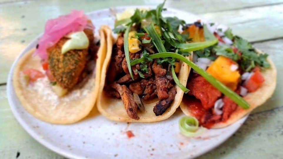 A selection of three kinds of tacos makes a perfect lunch at Reposados Tacos in Golden British Columbia Canada
