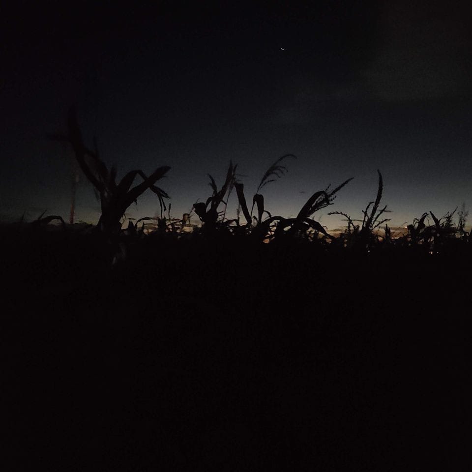 Find your way through a corn maze in Alberta Canada at night and not be able to sleep for weeks. Spooky.