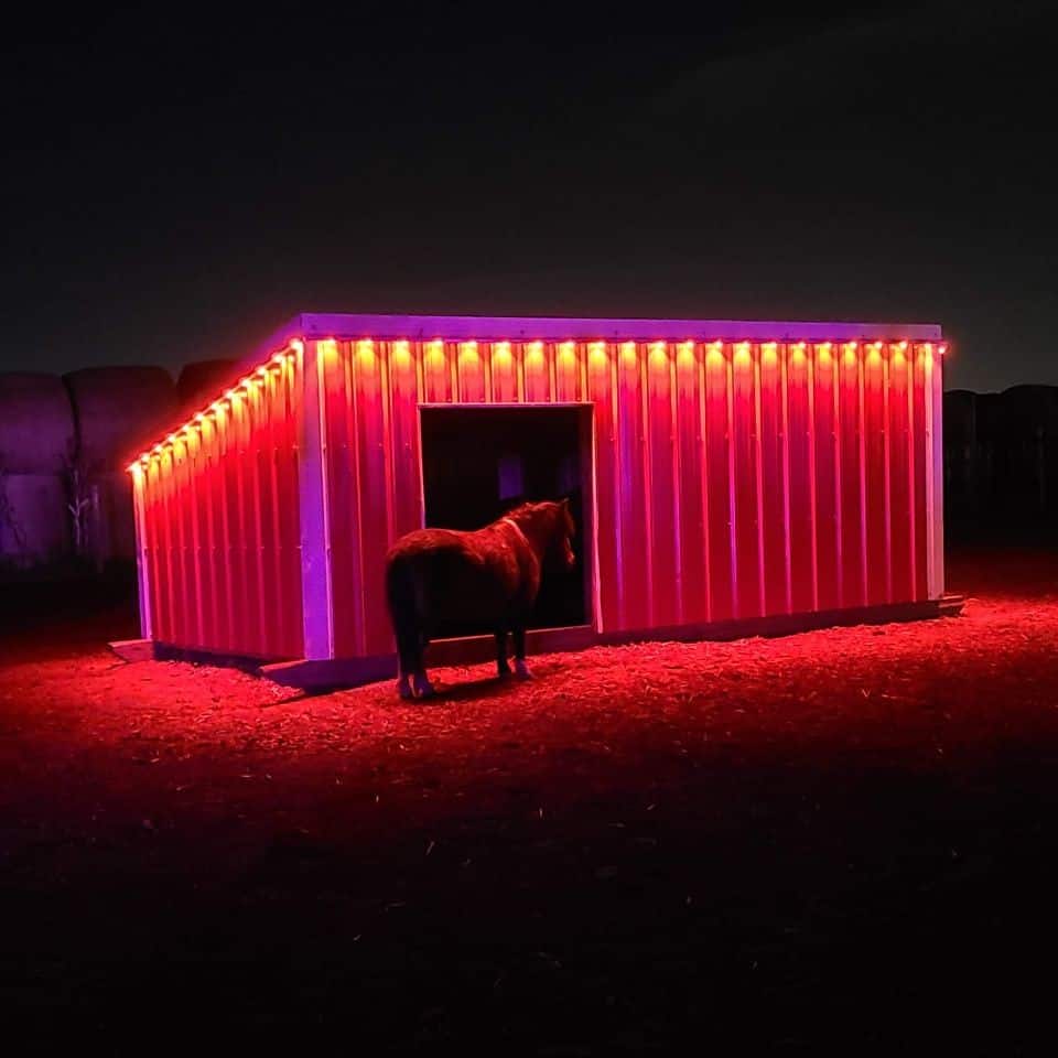Calgary Farmyard lit up for Harvest Lights event is one of the 10 outdoor fall events near Calgary Alberta Canada.