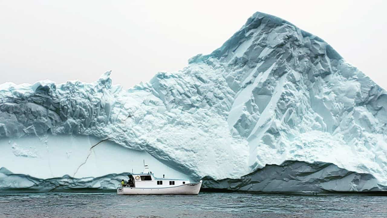 Advised to stay a fair distance away from icebergs. This boat did not get the memo as it wanders dangerously close to a large iceberg in Newfoundland Canada