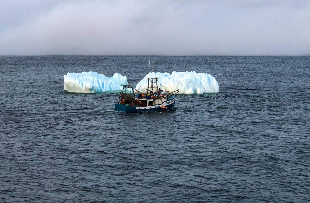 Boat vessel ocean fishing longline nl Newfoundland Canada Canadian east eastcoast coast coastal berg bergs iceberg icebergs