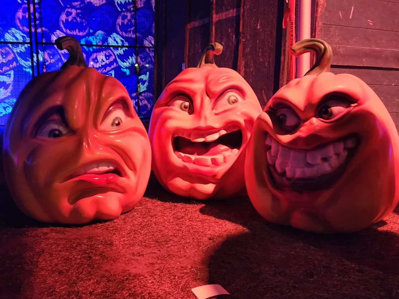 Three funny pumpkin faces at Pumpkins After Dark in Calgary Alberta