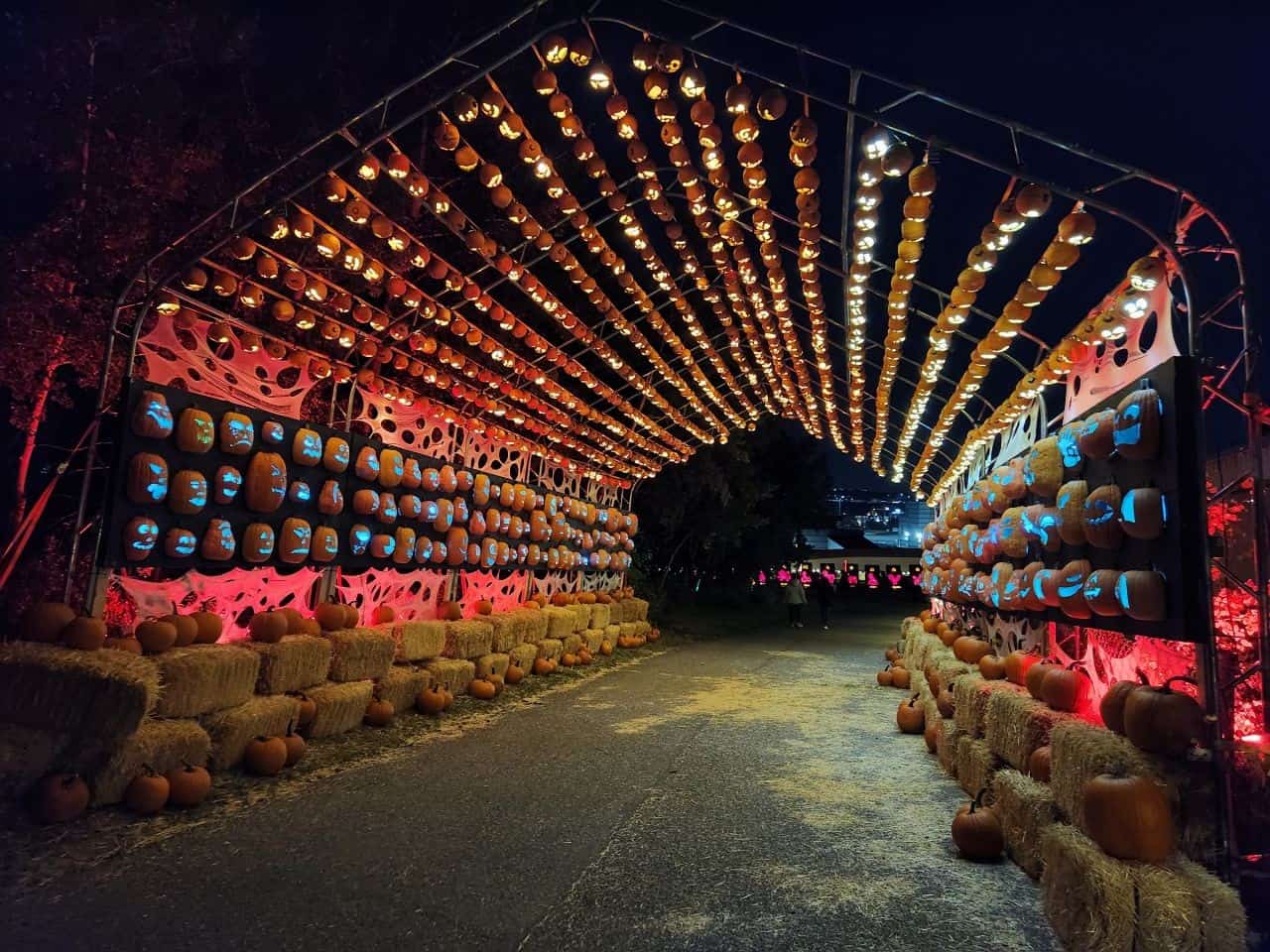 Popular Pumpkin tunnel at Pumpkins After Dark in Calgary Alberta Canada