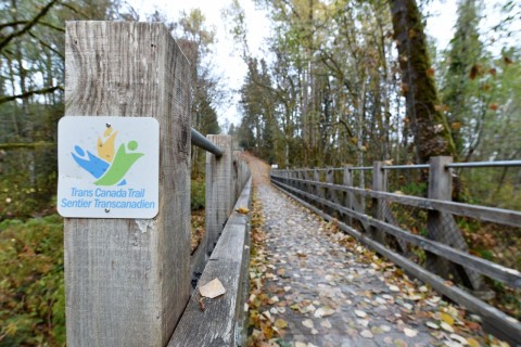 A wooden bridge marked with the Trans Canada Trail sign, representing the connected network of routes that guide cyclists through forests, waterways, and rural landscapes across Canada.