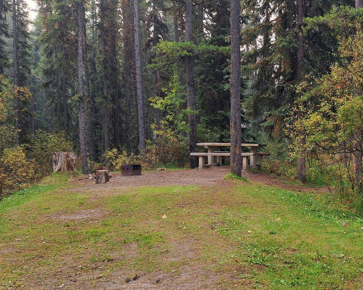A nicely treed campsite with a fire pit and picnic table at the Emerson Lake Campground in Sundance Provincial Park