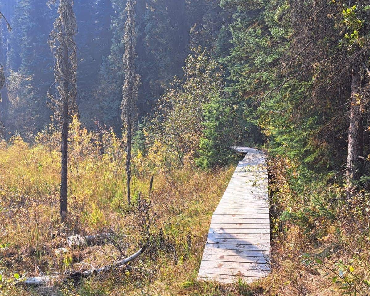 The boardwalk leads adventure seekers from the Emerson Lake day use area to the hiking trail around the lake
