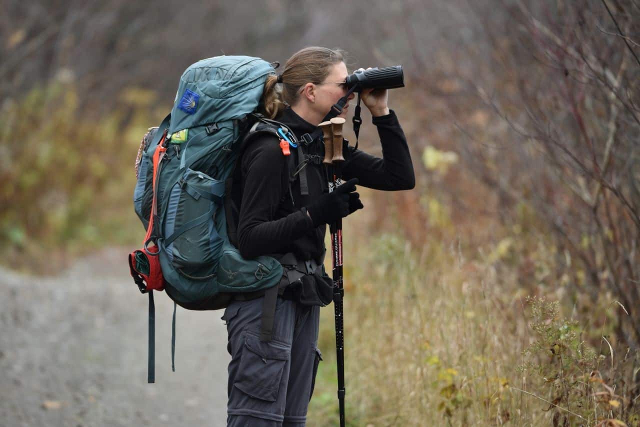 Birding the Trans Canada Trail in Alberta Canada led to our discovery of several underappreciated birding hotspots.   Whether you're an expert or a novice, Alberta's varied landscapes have lots to offer, so bring your binoculars, spotting scopes, and checklists.