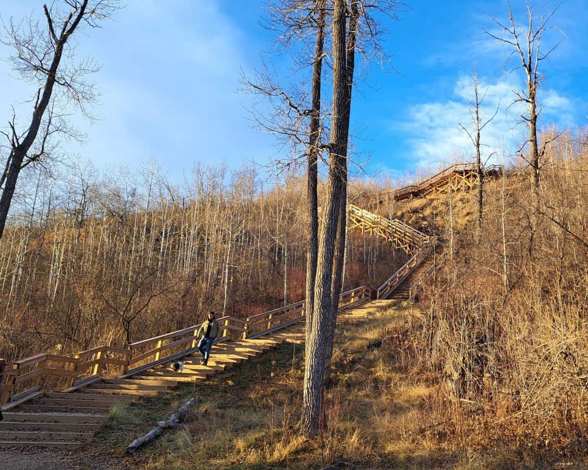 There are 210 steps on the first set of stairs on the River View Trail in Parkland County. Adventure Seekers will be happy that there are two landing areas with benches to rest at. Those looking to boost their fitness may choose to put in some stair repeats here so their lungs and legs are ready for a Rocky Mountain adventure.