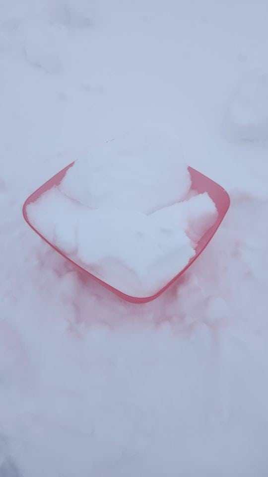 How To Make Snow Ice Cream in Canada after a fresh snowfall. 3 simple ingredients will have you on your way to enjoying a tasty winter treat!