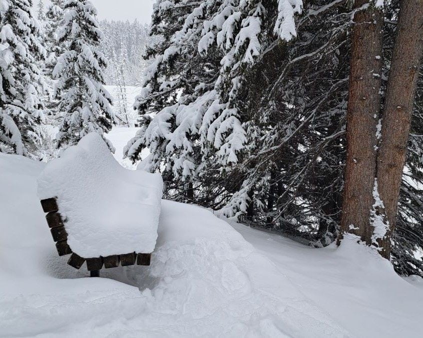 A sitting bench along the Johnson Lake Trail overlooking the lake is covered in snow after a recent snowfall.