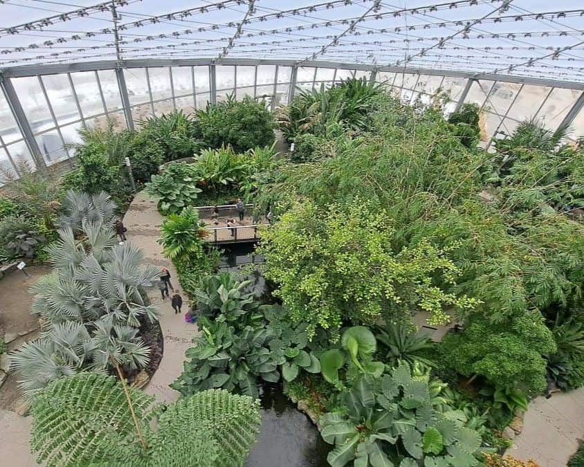 Looking down on the tropical biome at thte Leaf in Winnipeg Manitoba.