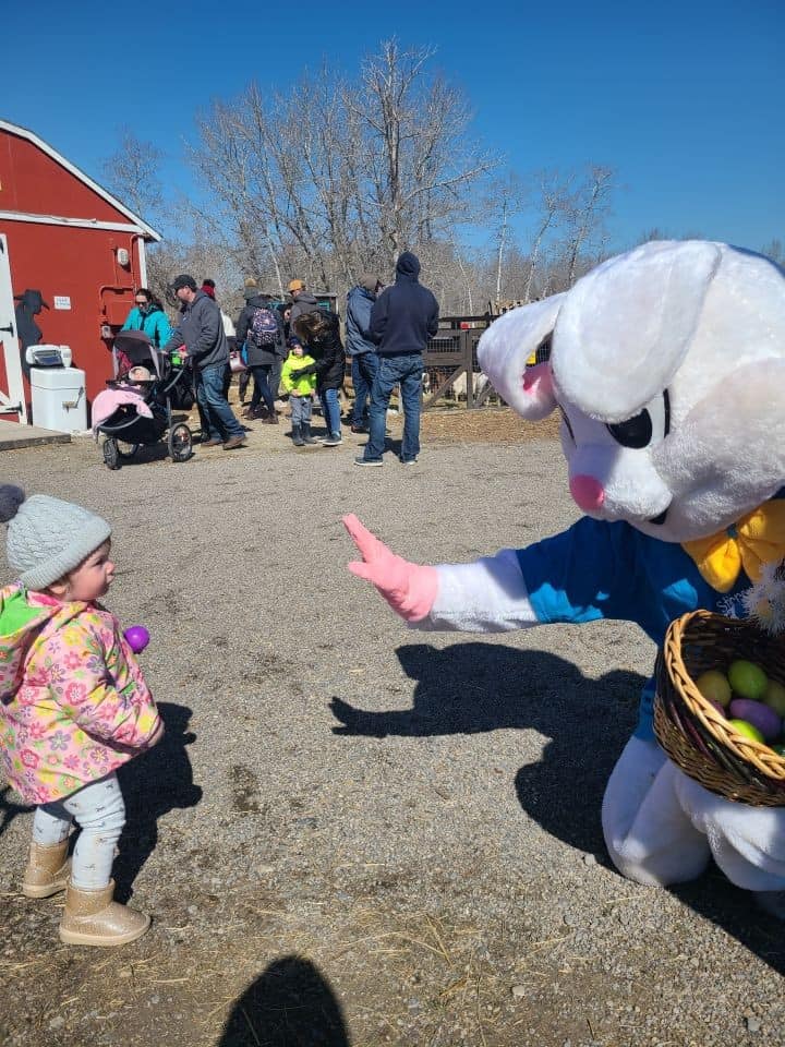 Butterfield Acres has multi-use passes available and offers various fun family friendly events. Located right in the city of Calgary, this petting Zoo is a must do attraction in the city with young children.