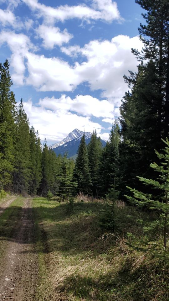 There are endless trail opportunities for mountain biking, hiking, and quadding the this southern Alberta area in Canada. Many trails and not marked as you are more in the backcountry than some of the more popular areas.