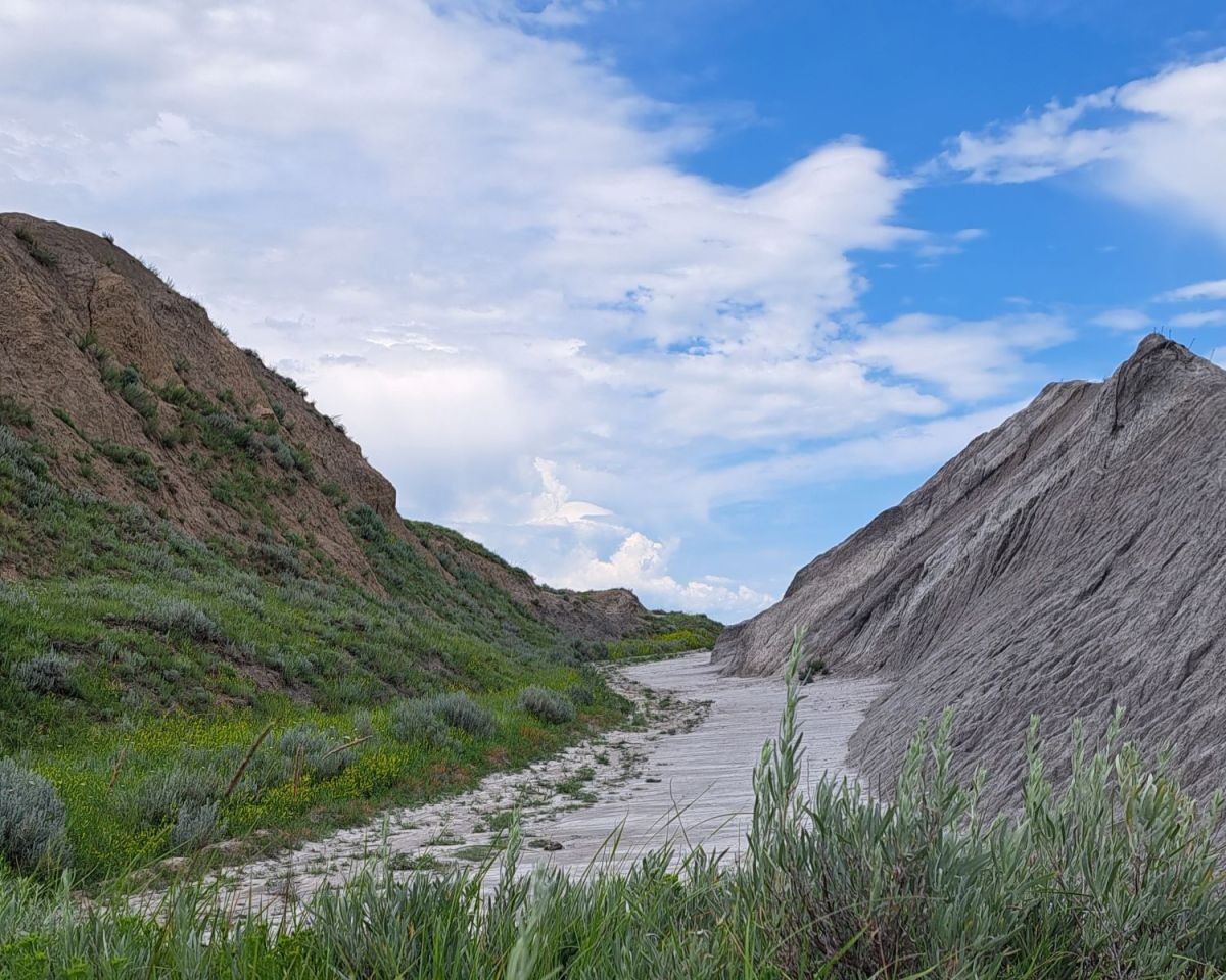 A hiking trail leads adventurers through the historic clay pits at the Claybank Brick Plant. To the left is a dirt hill and on the right is a bank of excavated clay.